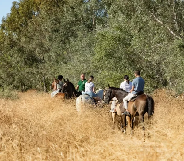Rutas a caballo en Valencia