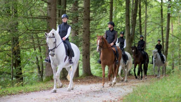 Rutas a caballo en Valencia