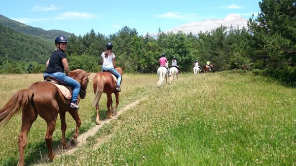 Rutas a caballo en Valencia
