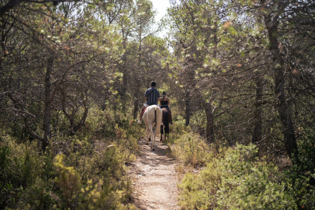Paseos a caballo en Valencia