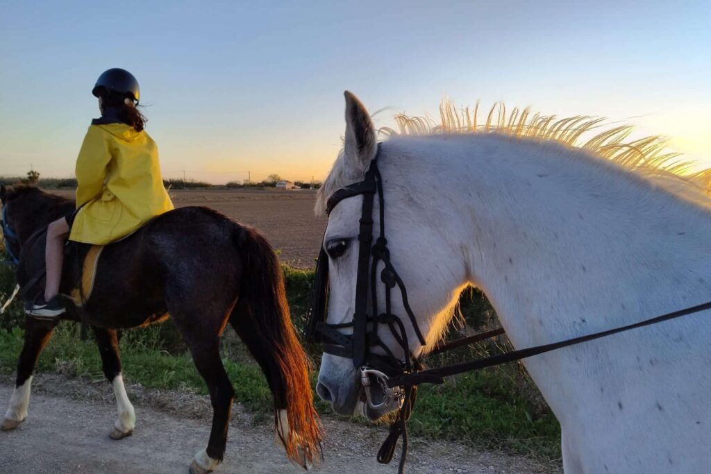 Paseos a caballo en Valencia