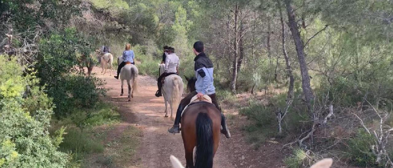 Paseos a caballo en Valencia